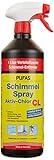 Pufas 5404000 Schimmelspray Antischimmelspray zum schnellen und gründlichen Entfernen von Schimmel, Grünbelägen, Stockflecken, Bakterien und Algen, 1L