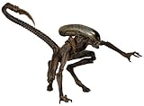 Alien 3 - Dog Alien Brown Series 8 Action Figure