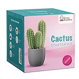 Kaktus-Set - Züchten Sie Ihre eigenen Kaktus-Samen Starter-Set - leicht wachsen schöne Sorten von Kaktus-Pflanzen mit unserem kompletten Anfänger freundlich Indoor-Kakteen Starter-Set - Zimmerpflanze