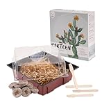 Kakteen Starter Kit Anzuchtset - Pflanzset aus Mini-Gewächshaus, Kaktus Samen & Erde - nachhaltige Geschenkidee für Pflanzenfreunde (Samen: Wüstenrose + Lebender Granit)