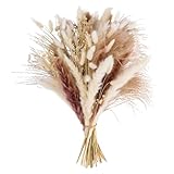 Pampasgras Deko Trocken 44cm hoch - schöner Pampasstrauß mit kleinem Pampas, Trockenblumen, Bunny Tails, Federgras - für Hochzeit oder Trocken Blumen Dekoration