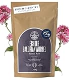 Baldrianwurzel Tee Monte Nativo (200g) – Baldrian Tee lose (Valerian Root) – 100% Natürlich & Schonend getrocknet aus echter Baldrianwurzel – Sanfter Kräutertee für die Zubereitung als Baldriantee