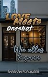 Love Meets Oneshot: Wie alles begann (Love Meets Oneshots)