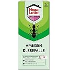 Nexa Lotte Ameisen Klebefalle, 2 Stück, Effektive Ameisenbekämpfung mit echtem Honig, 45 Tage Wirkungsdauer, Grün