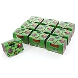 Bull & Bear 10er Set Mini-Pflanzset Glücksklee, 10x Kleezwiebeln im Topf 4,5cm, vierblättrige Kleeblätter als Anzuchtset mit Pflegeanleitung