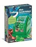Clementoni Galileo Lab Mini-Gewächshaus - DIY Botanik-Set für Kinder - Pflanzen selbst züchten mit Töpfen, Torf & Samen - Indoor-Garten mit Klappe zur Pflege von Clementoni 59438