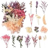 LAUMOE Trockenblumen Set für Kunst DIY, Harz, Scrapbooking, Handwerk und Karten Machen - Getrocknete Blumen Zum Basteln (Stil 4)