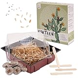 Kakteen Starter Kit Anzuchtset - Pflanzset aus Mini-Gewächshaus, Kaktus Samen & Erde - nachhaltige Geschenkidee für Pflanzenfreunde (Samen: Madagascar Palme + Echter Tigerrachen)