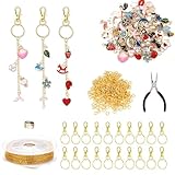 Komergave 173 Stück Schlüsselanhänger Selber Machen Set, Metall Schlüsselanhänger Bastelset, 50 Charms 20 Schlüsselringe Karabiner 100 Biegeringe und Schmuckzange für DIY Bastelset