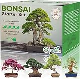 Easy Bonsai Starter Kit - Bonsai Anzuchtset 4 versch. Bonsai Samen - Züchte deinen wunderschönen Bonsai Baum - Nachhaltiges Geschenkset/Pflanzset inkl. Anleitung (Booklet) & Zubehör - SeedPal