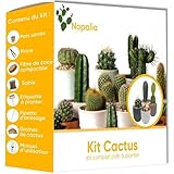 NOPALIA® Kaktus-Set – Mini-Kaktus-Set – Mini-Kakteen – ausgefallene Geschenkidee – Zimmerpflanze – Set bereit zum Wachsen – Garten im Innenbereich – Bürodekoration – Sukkulenten