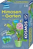 Kosmos 657802 Mimosen-Garten Pflanzen züchten und erforschen Komplett-Set mit Mini-Gewächshaus Experimentier-Set für Kinder ab 6 - 10 Jahre Mitbringexperiment teal/turquoise green