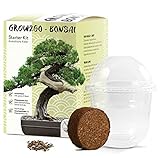 HappySeed GROW2GO Bonsai Starter Kit Anzuchtset - Pflanzset aus Mini-Gewächshaus, Samen & Erde - nachhaltige Geschenkidee für Pflanzenfreunde (Australische Kiefer)