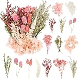 LAUMOE Getrocknete Blumen,Trockenblumen Zum Basteln Mini Trockenblumen Set für DIY Epoxidharz Scrapbook Zubehör Handgemachte Heimdekoration Hochzeit (Rosa)
