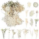 LAUMOE Getrocknete Blumen, Trockenblumen, Trockenblumen Zum Basteln Mini Trockenblumen Trockenblumen Set für DIY Epoxidharz Scrapbook Zubehör Handgemachte Heimdekoration Hochzeit (Weiß)