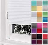 Home-Vision® Premium Plissee Faltrollo ohne Bohren mit Klemmträger / -fix (Weiß, B60cm x H200cm) Blickdicht Sonnenschutz Jalousie für Fenster & Tür