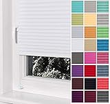 Home-Vision® Premium Plissee Faltrollo ohne Bohren mit Klemmträger / -fix (Weiß, B60cm x H200cm) Blickdicht Sonnenschutz Jalousie für Fenster & Tür