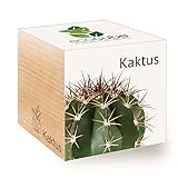 Feel Green Ecocube Kaktus, Nachhaltige Geschenkidee (100% Eco Friendly), Grow Your Own/Anzuchtset, Pflanzen Im Holzwürfel, Made in Austria