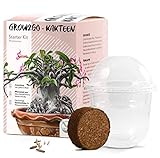 GROW2GO Kakteen Starter Kit Anzuchtset - Pflanzset aus Mini-Gewächshaus, Kaktus Samen & Erde - nachhaltige Geschenkidee für Pflanzenfreunde (Wüstenrose)