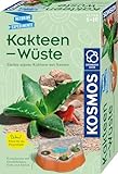 KOSMOS 658250 MBE Kakteen-Wüste Züchte eigene Kakteen, Komplett-Set mit dekorativem Mini-Gewächshaus, Kakteen züchten für Kinder ab 6 Jahre,