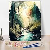 TISHIRON DIY Malen Nach Zahlen für Erwachsene Aquarell Gemälde eines Flusses im Wald Erwachsenen Malen Nach Zahlen Sets Naturlandschaft Kunst Öl Handgemälde Mal Sets Kunsthandwerk für Zuhause