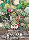 85589 Sperli Premium Kakteen Samen Mix | Sukkulenten Samen Mischung | Kakteen Saatgut | Kaktus Samen | Zimmerpflanzen