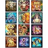 Cskunxia 12 Pack Diamond Painting DIY Diamant Painting Bilder Diamant Malerei Kits für Erwachsene oder Kinder Anfänger Geschenk （30 x 30 cm）