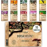 10 Bonsai Samen aus 5 Kontinenten I Exotische Baum Samen für deinen einzigartigen Bonsai Baum I Bonsai Starter Kit für Anfänger und Pflanzen Verrückte I Unser Bonsai Set als besondere Geschenkidee