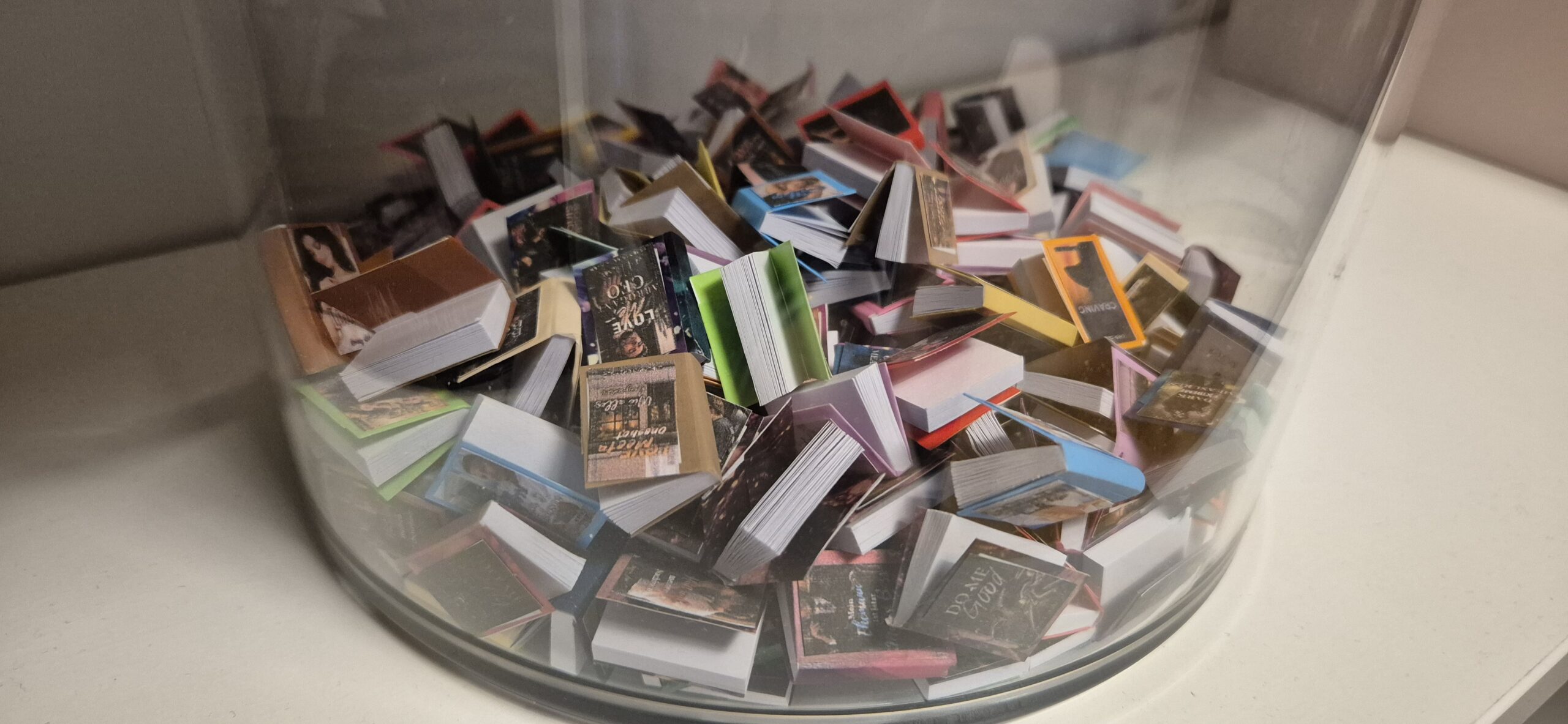 Alle meine Bücher in Miniversionen