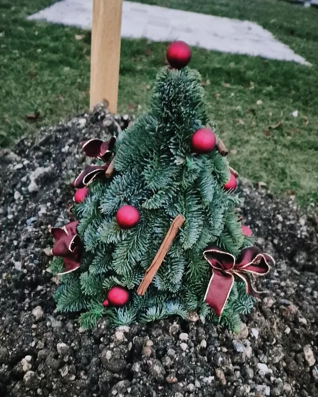 582701702 18540603994034018 482397395303811026 N