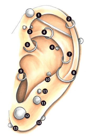 Ohr-Piercings