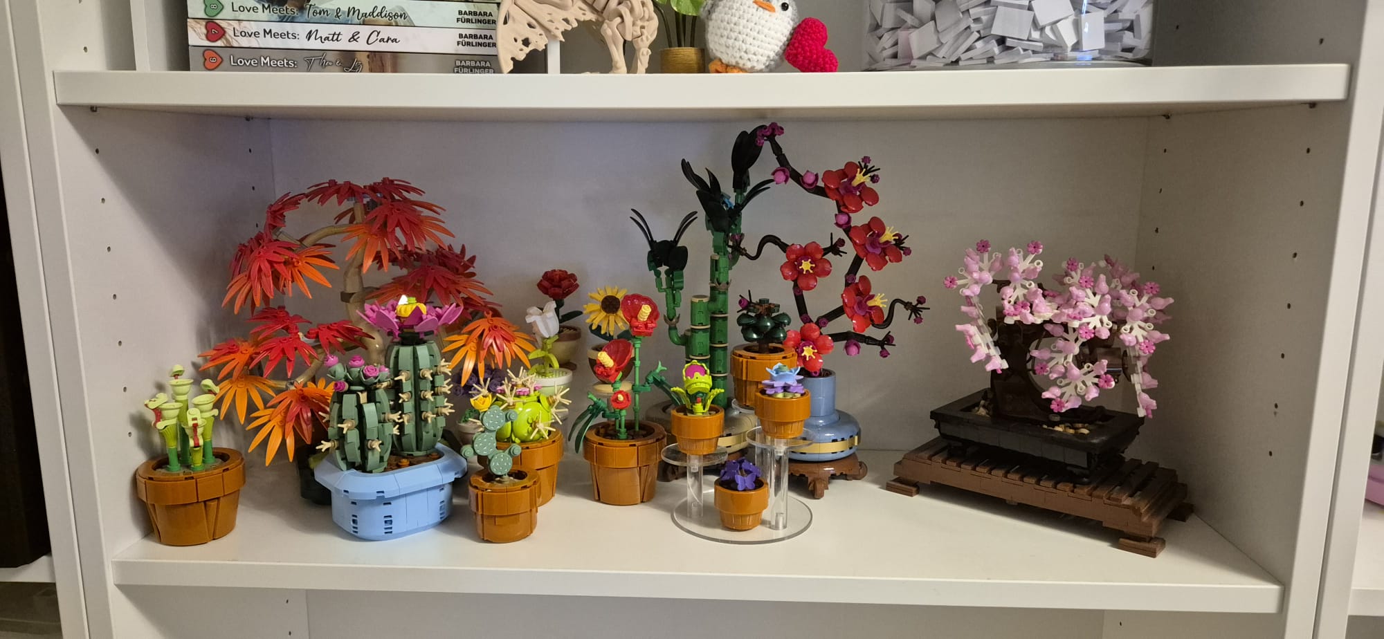 WhatsApp Image 2026 01 09 At 23.15