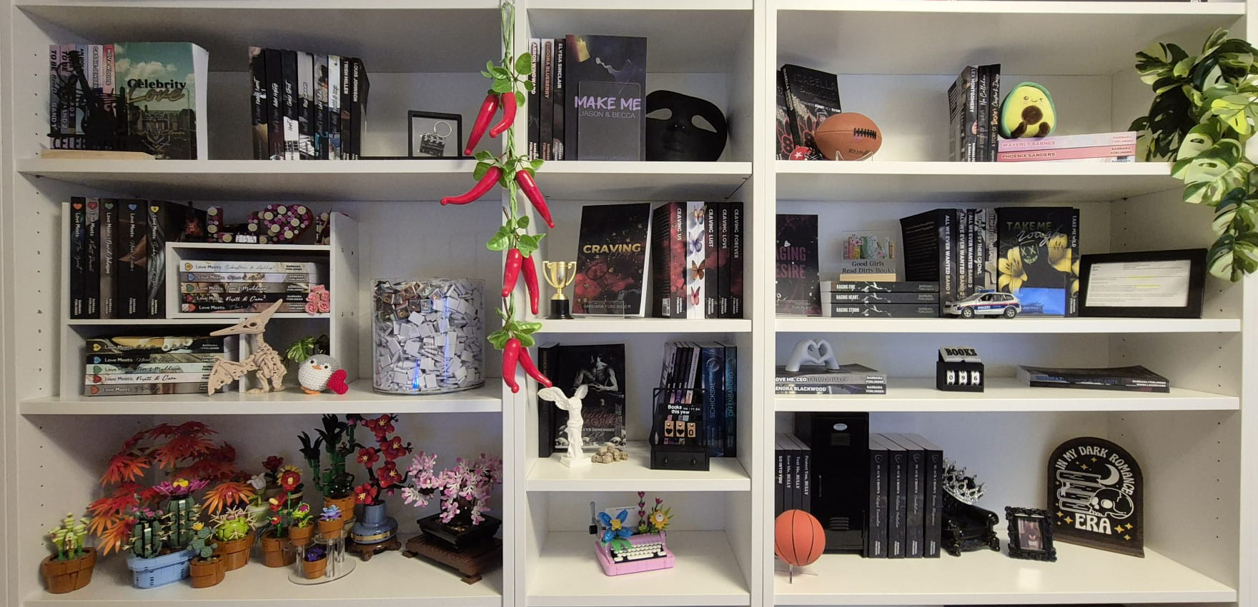 WhatsApp Image 2026 01 09 At 23.15