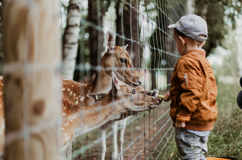 Zoo-Münster-Spende