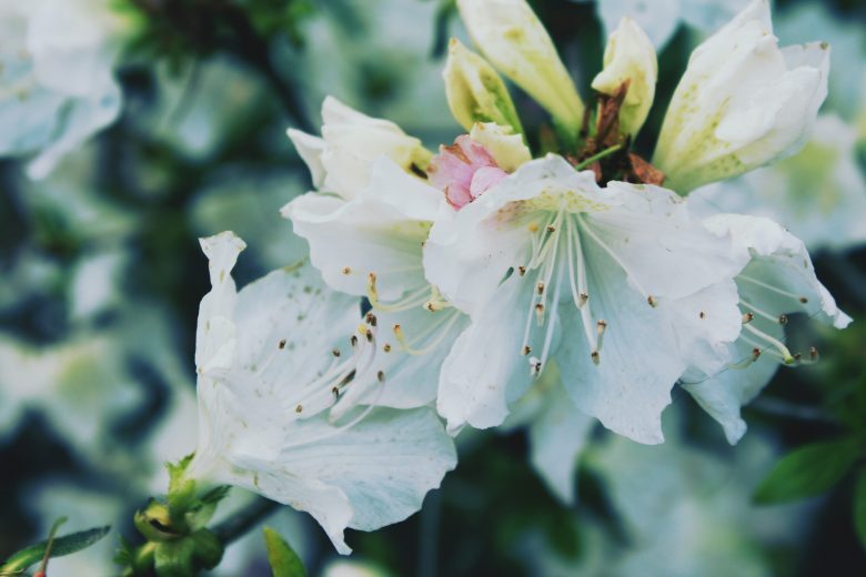 Das war mein Jahr 2025