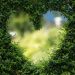 heart-1192662_1280