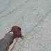 sand-woman-floor-dry-broken-cracked-595661-pxhere.com